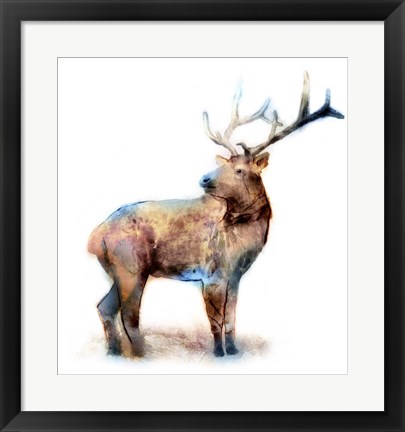 Framed Elk Print