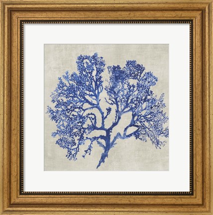 Framed Cobalt Coral I Print