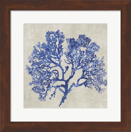 Framed Cobalt Coral I Print