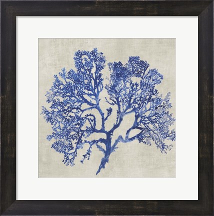 Framed Cobalt Coral I Print