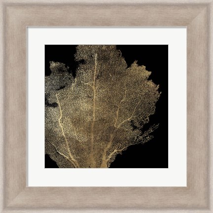 Framed Honeycomb Coral I Print