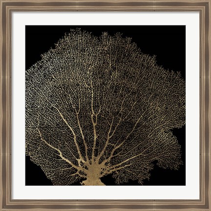 Framed Honeycomb Coral II Print