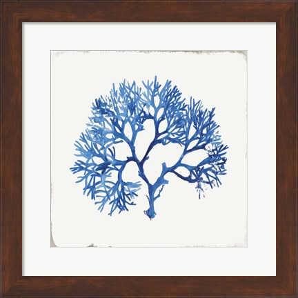 Framed Blue and Green Coral V Print