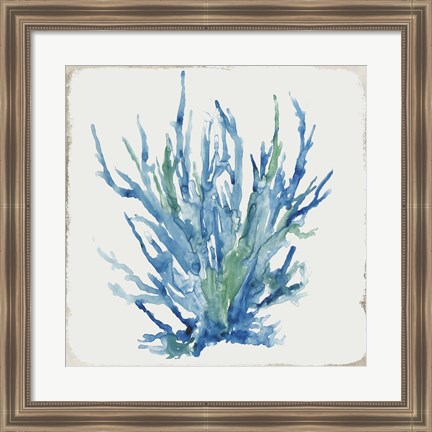 Framed Blue and Green Coral II Print