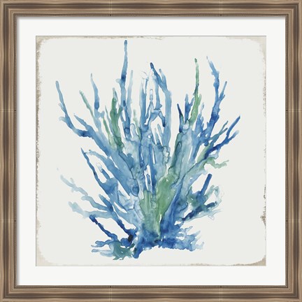 Framed Blue and Green Coral II Print