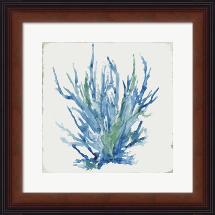 Framed Blue and Green Coral II Print