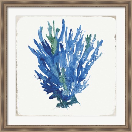 Framed Blue and Green Coral III Print