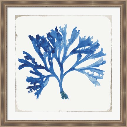 Framed Blue and Green Coral IV Print