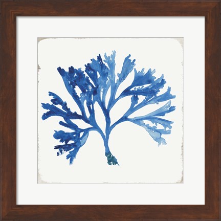 Framed Blue and Green Coral IV Print