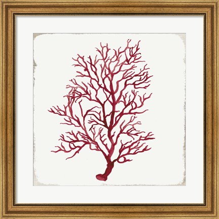 Framed Red Coral III Print