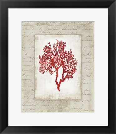 Framed Red Coral II Border Print