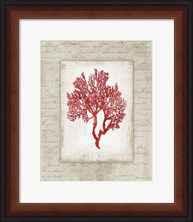 Framed Red Coral II Border Print