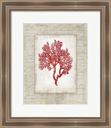 Framed Red Coral II Border Print