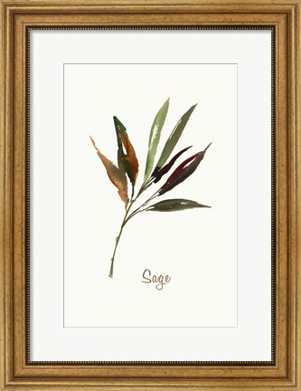 Framed Wild Sage Print