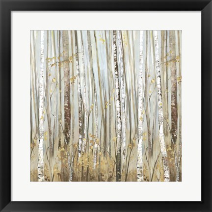 Framed Birchscape II Print