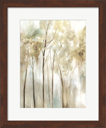 Framed Sapling I Print