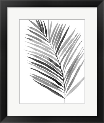 Framed BW Palm IV Print