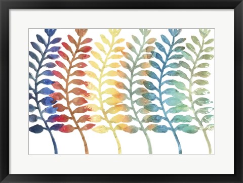 Framed Fresh Ferns Print