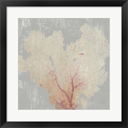 Framed Blush Coral I Print