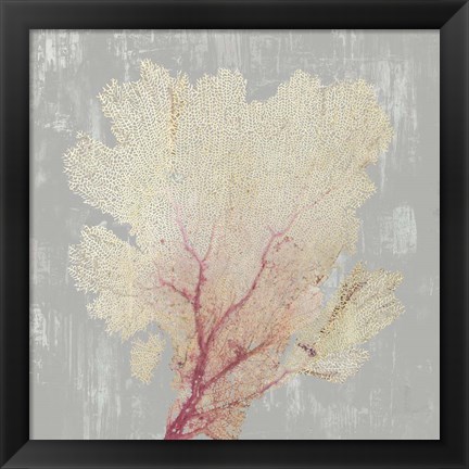 Framed Blush Coral II Print