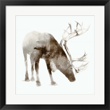 Framed Caribou Print