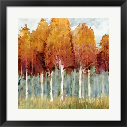 Framed Birch I Print