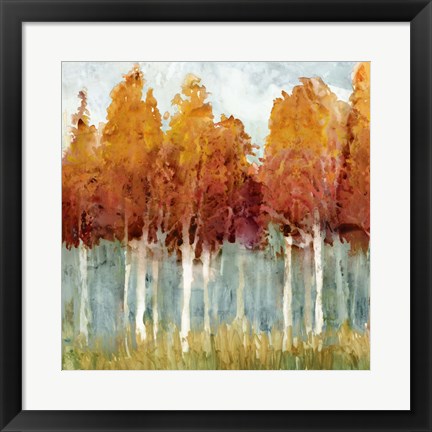 Framed Birch II Print