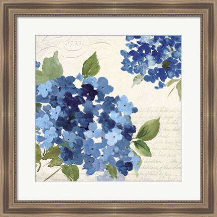 Framed Hampton Hydrangea I Print