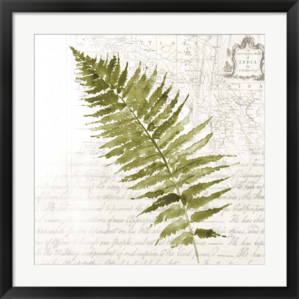 Framed Fern II Print