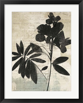 Framed Inky Floral II Print