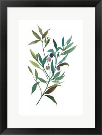 Framed Olive I Print