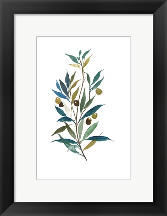 Framed Olive II Print