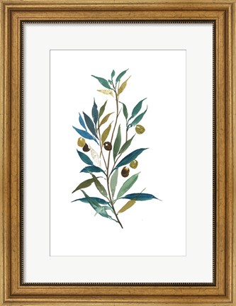 Framed Olive II Print