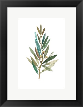 Framed Olive III Print