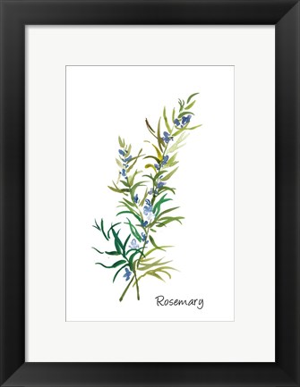 Framed Rosemary II Print