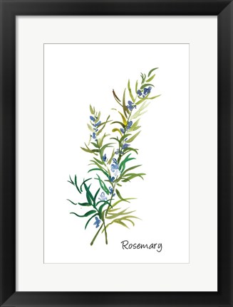 Framed Rosemary II Print