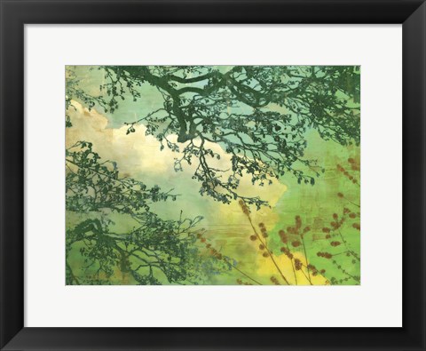 Framed Branches and Clouds Print