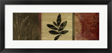 Framed Leaf Impressions II Print