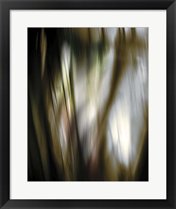 Framed Organic III Print