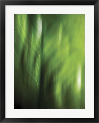 Framed Organic V Print