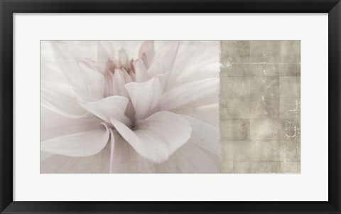 Framed Softness Print