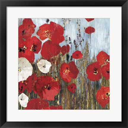 Framed Passion Poppies I Print