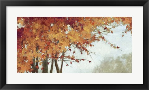 Framed Fall Canopy I Print