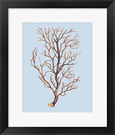 Framed Coral IV Print