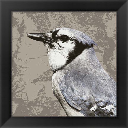 Framed Feathered III Print