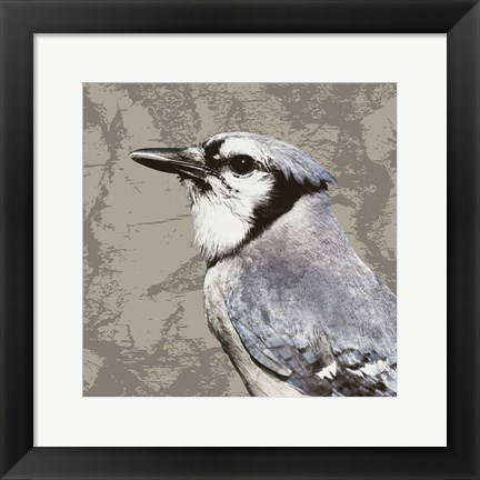 Framed Feathered III Print