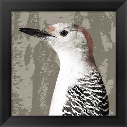 Framed Feathered IV Print