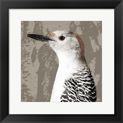 Framed Feathered IV Print