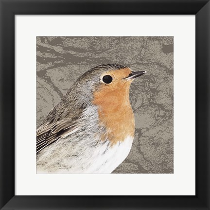 Framed Feathered V Print