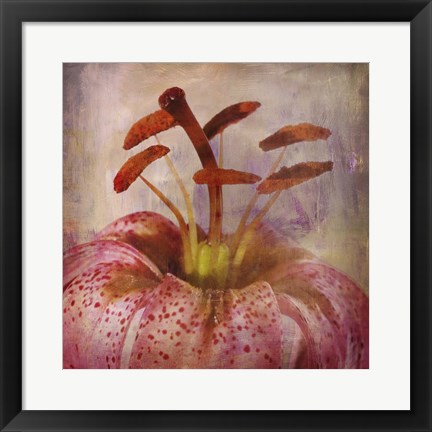 Framed Lovily Lily I Print